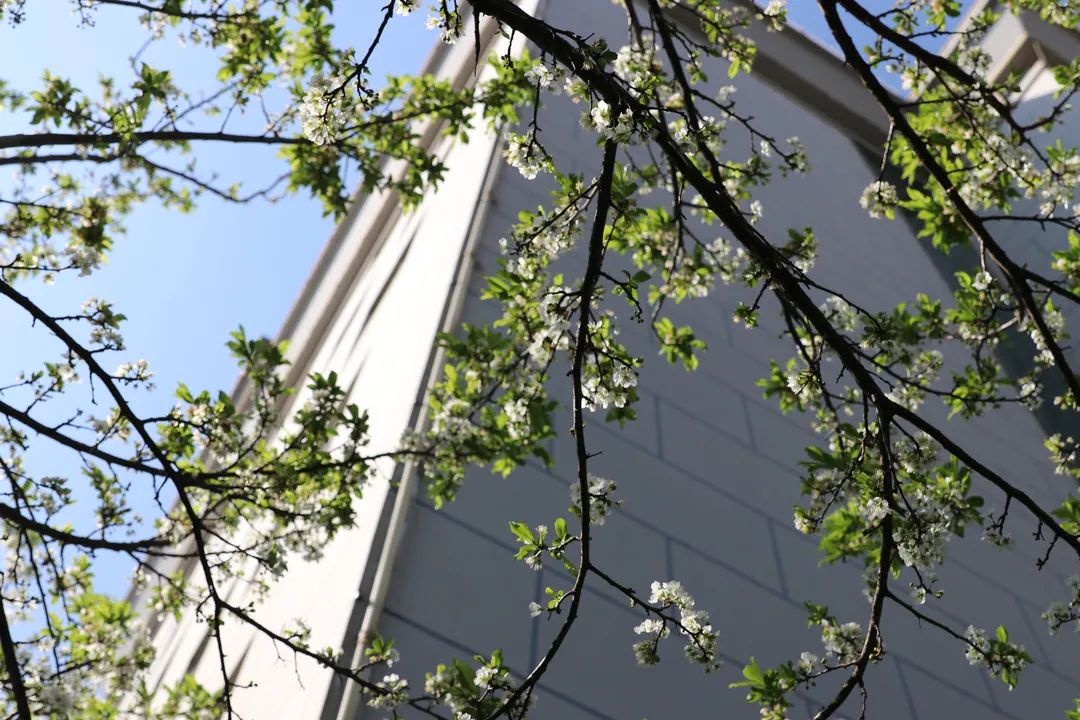 宜良检察(微信)