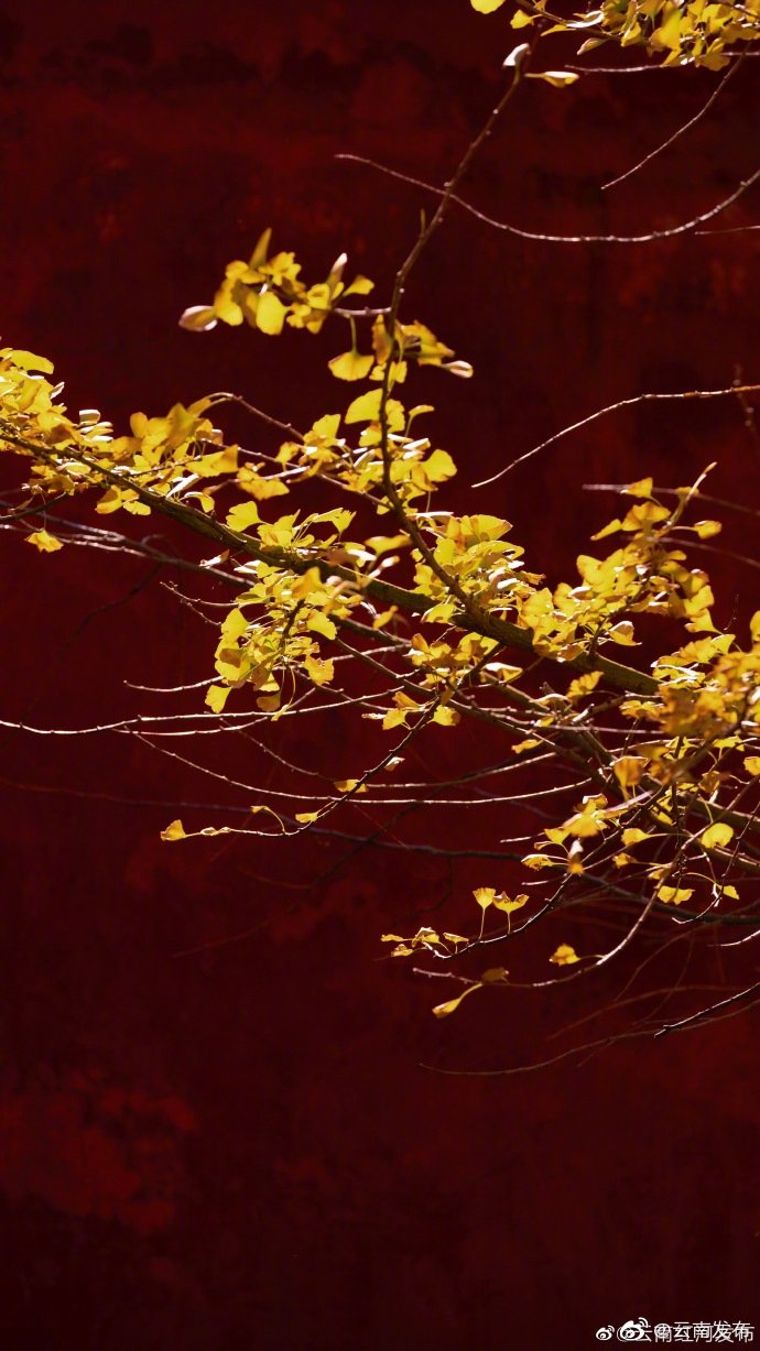 “云南发布”微博