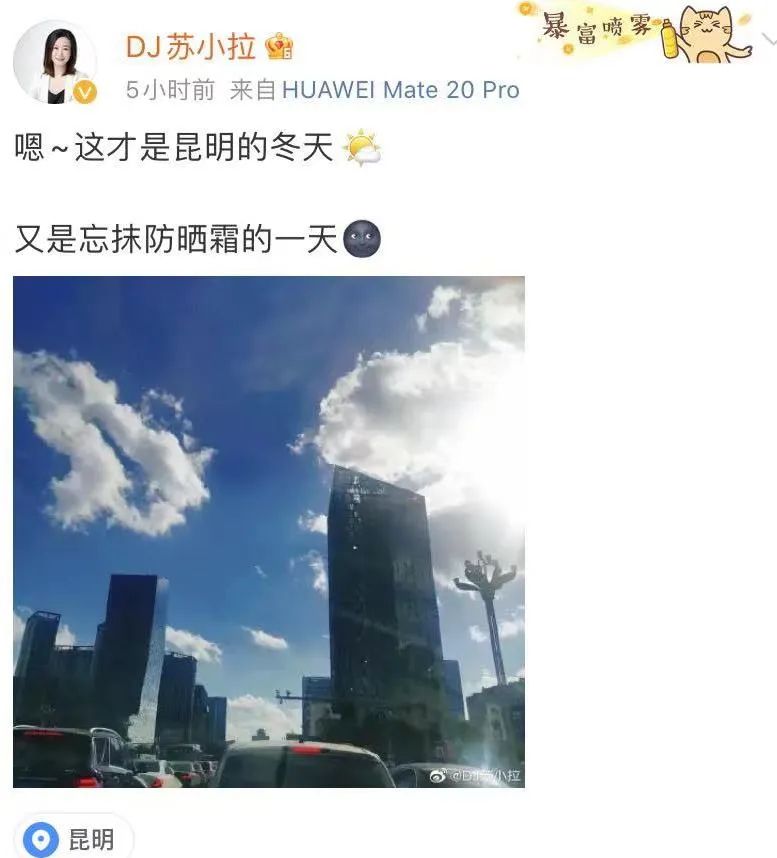 掌上春城
