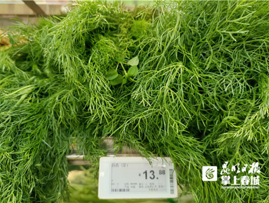 昆明信息港/cnkmxxg
