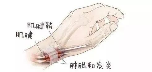 云南省中医医院