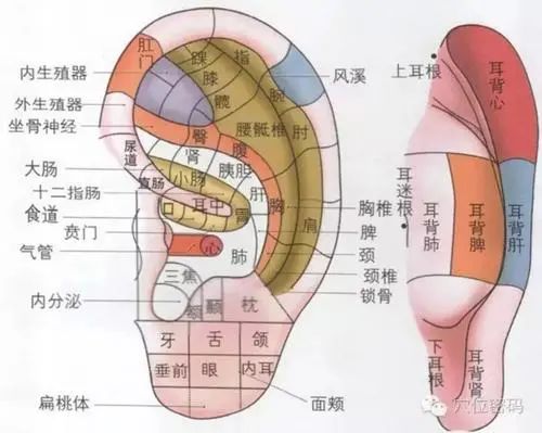 云南省中医医院