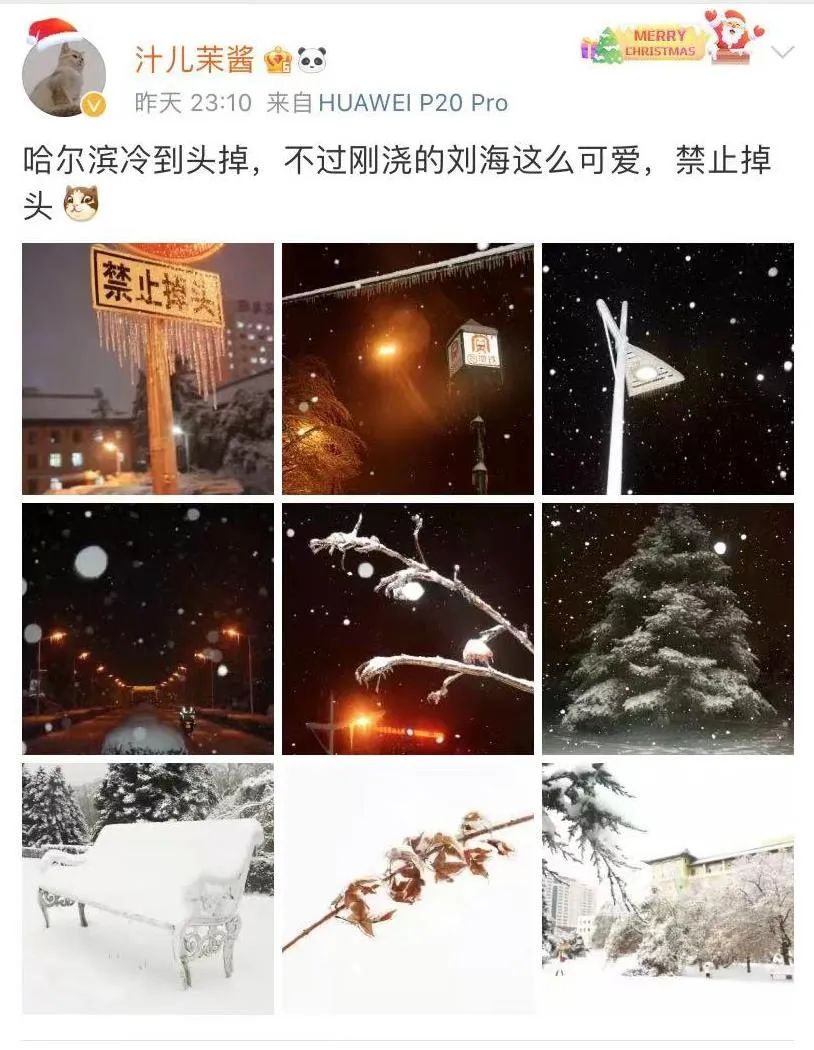 掌上春城