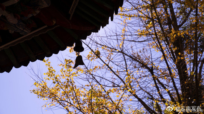 “云南发布”微博