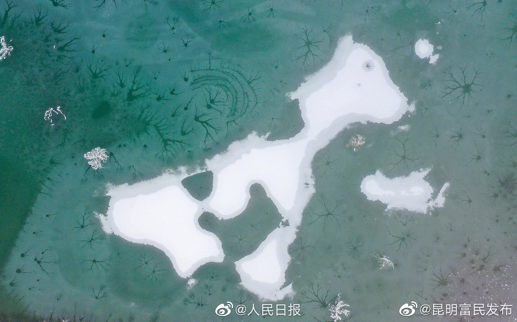 “昆明富民发布”微博