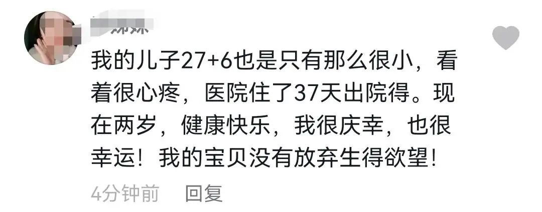 春城晚报