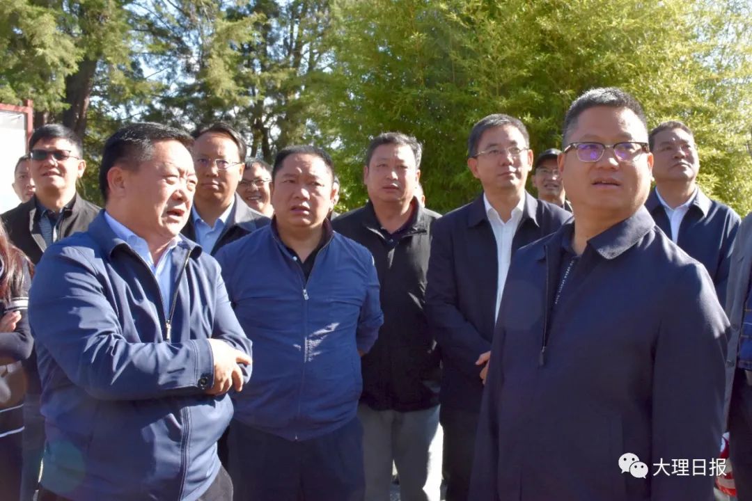 大理日报(微信)