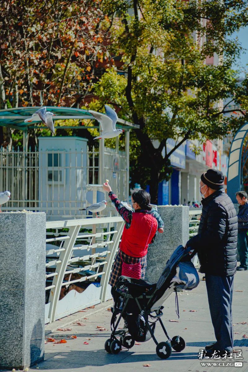 昆明信息港/cnkmxxg