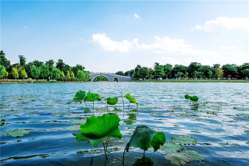 红河文旅