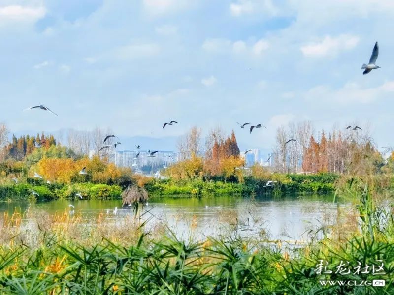 昆明信息港/cnkmxxg