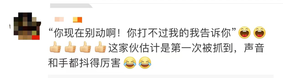 春城晚报