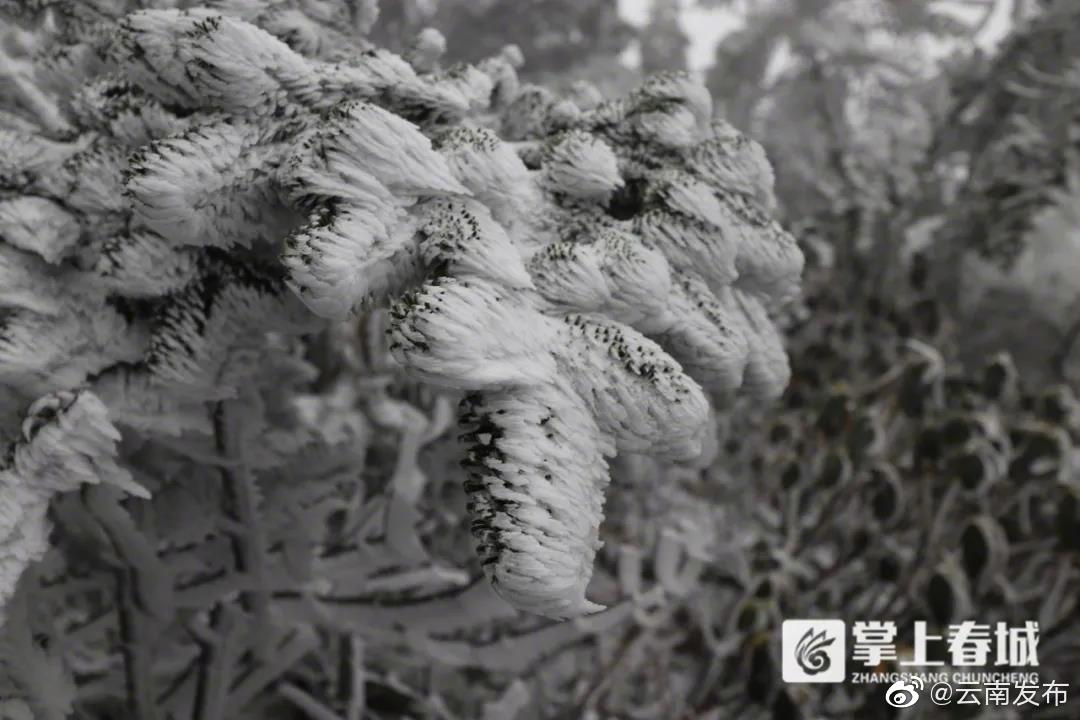 “云南发布”微博