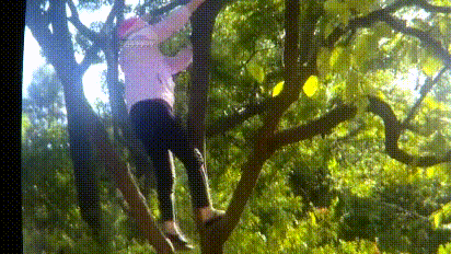昆明信息港