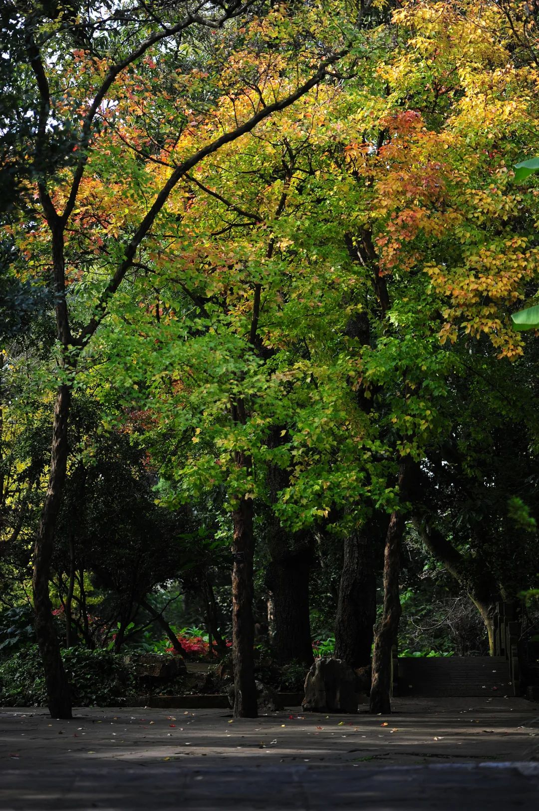 昆明市金殿名胜区