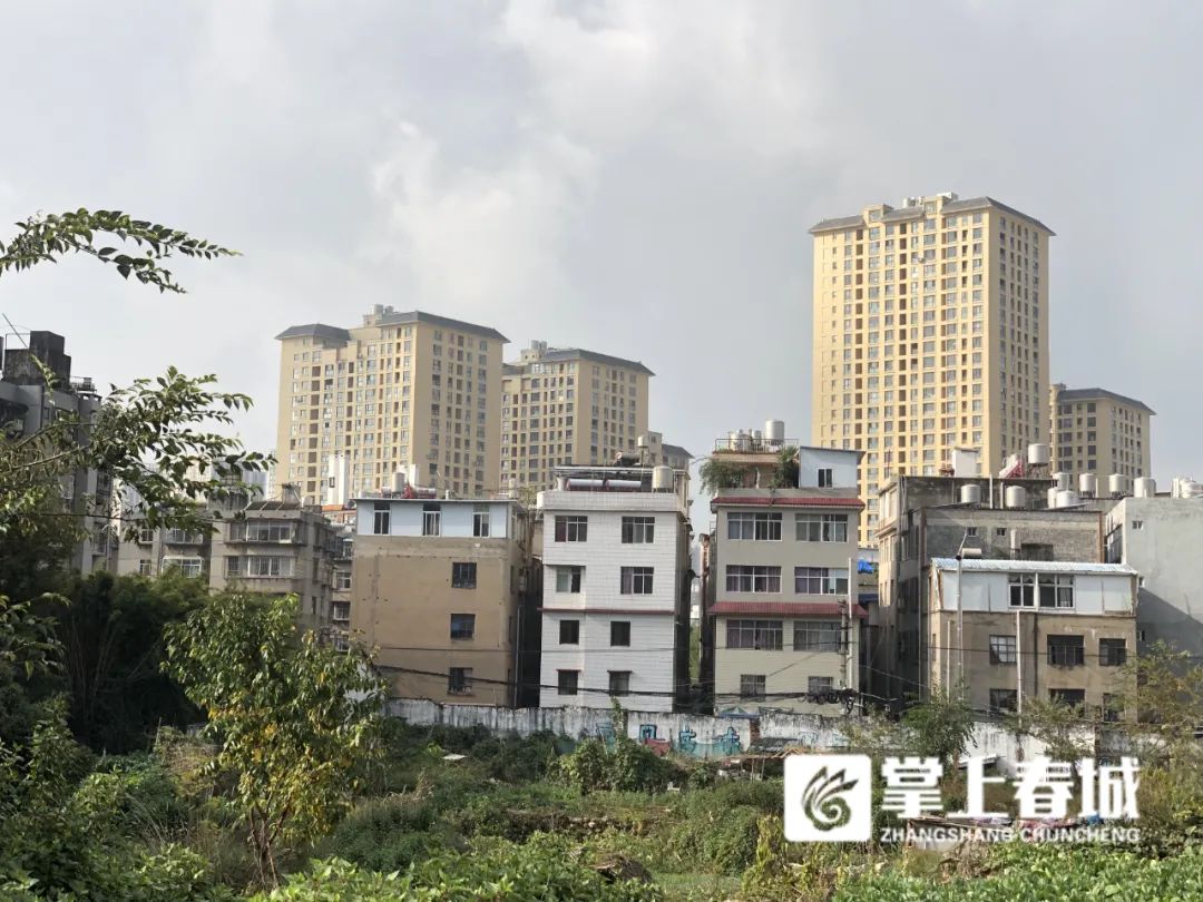 掌上春城微信公众号