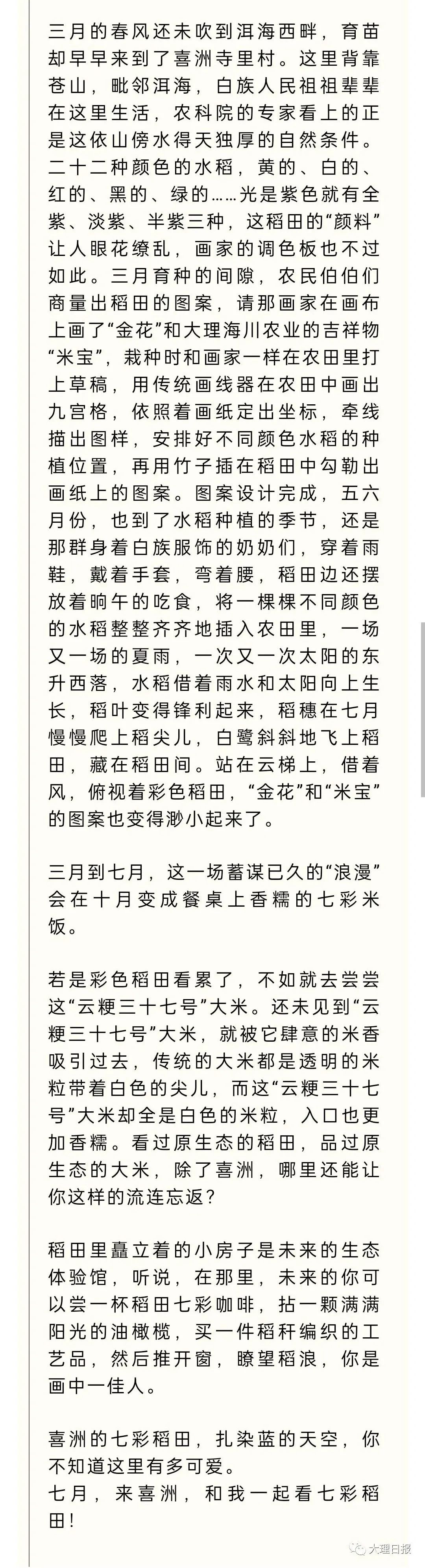 大理日报