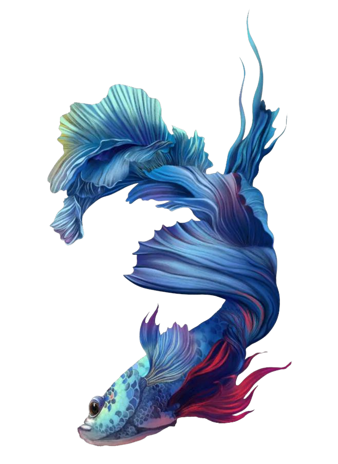 昆明滇池国家旅游度假区管理委员会(微信)