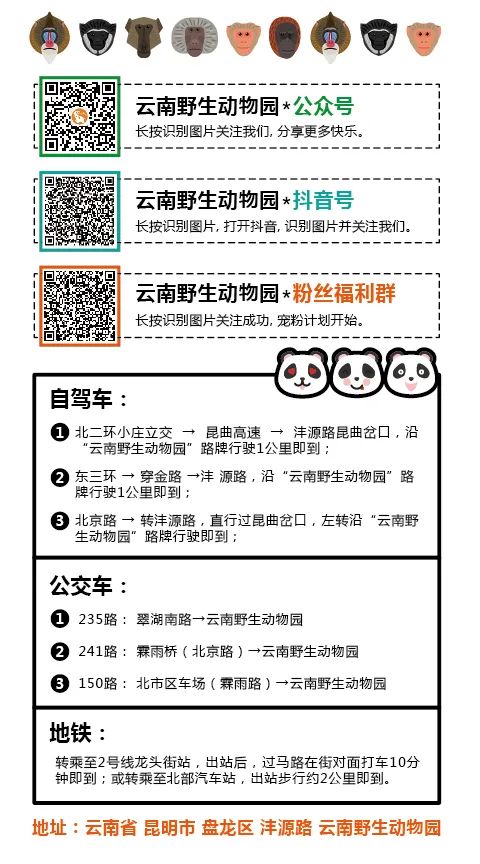 云南野生动物园(微信)