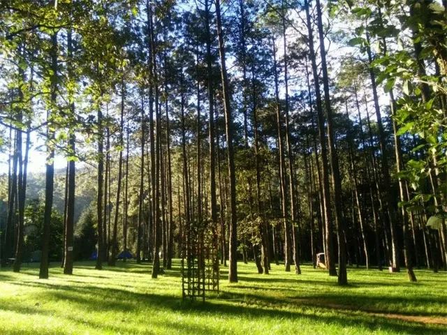 红河文旅