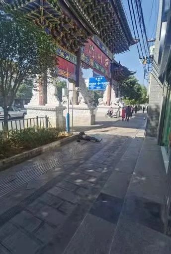 昭通日报