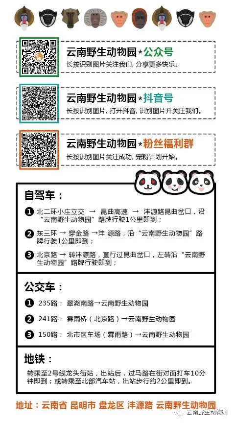 云南野生动物园(微信)