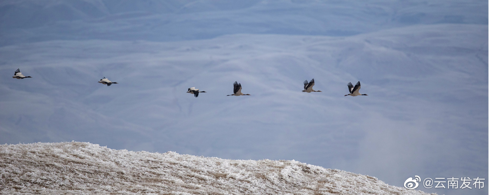 “云南发布”微博