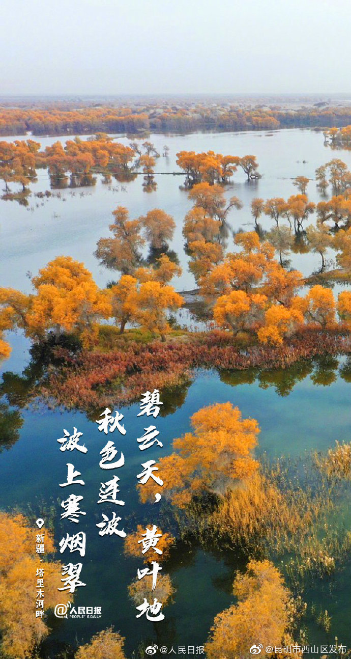 “昆明市西山区发布”微博