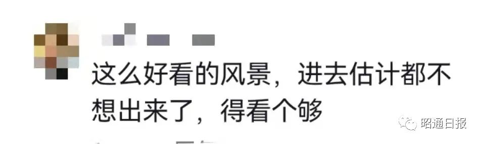 昭通日报