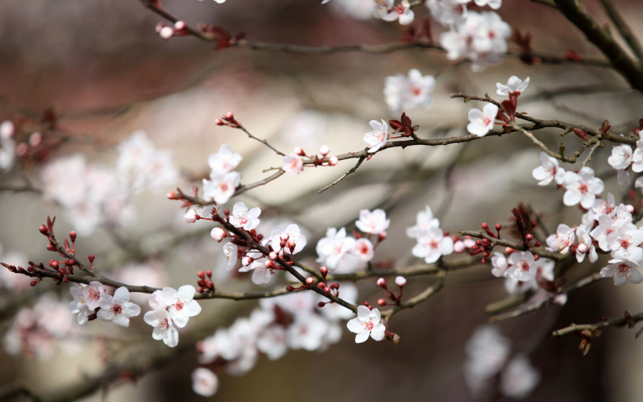 宜良检察(微信)
