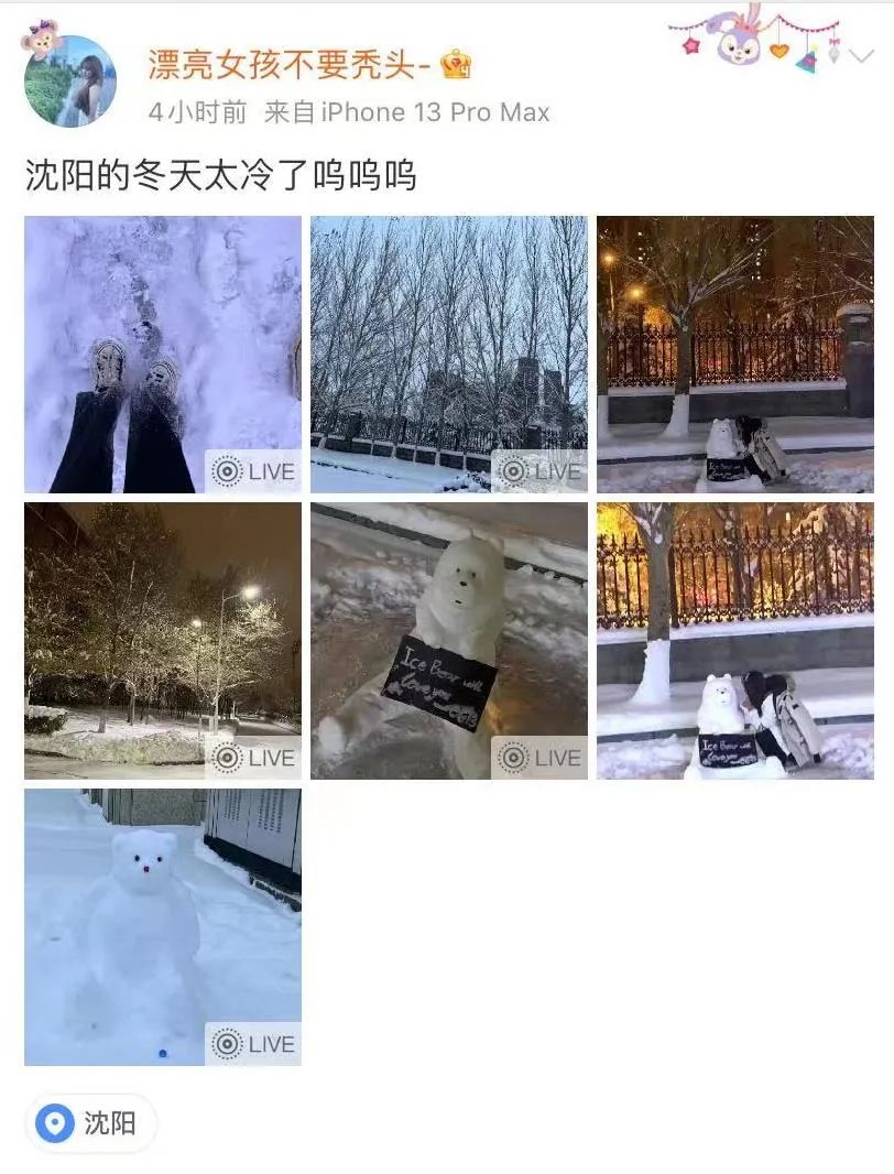 掌上春城