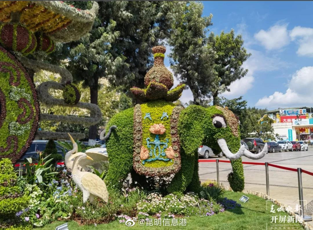 昆明信息港