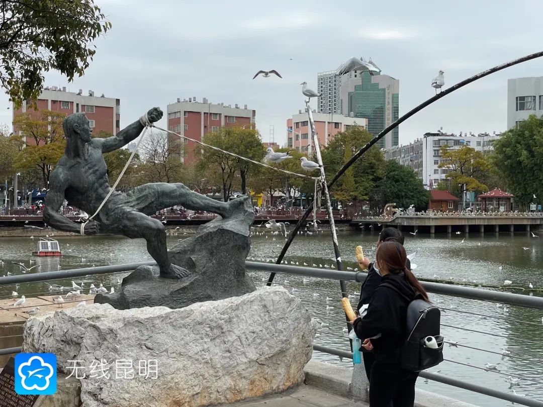 昆明发布