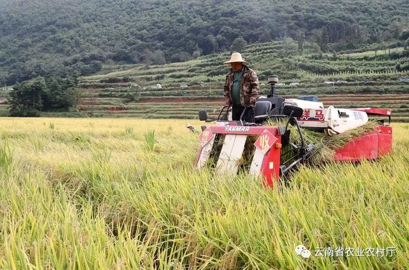 昆明市农业农村局