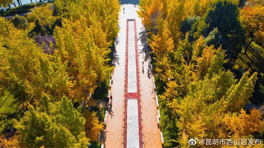 “昆明市西山区发布”微博