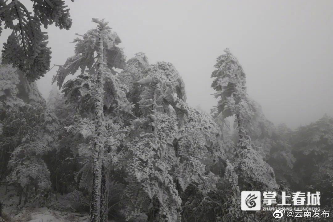 “云南发布”微博