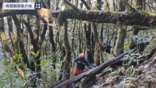 云南信息报