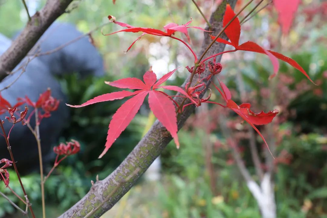 宜良检察(微信)