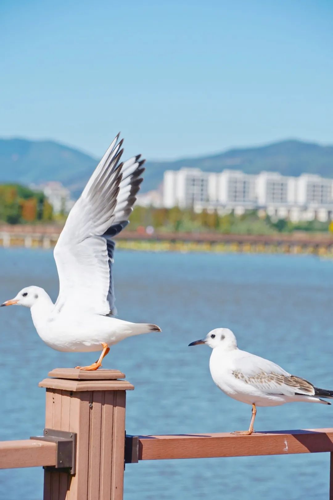 红河文旅