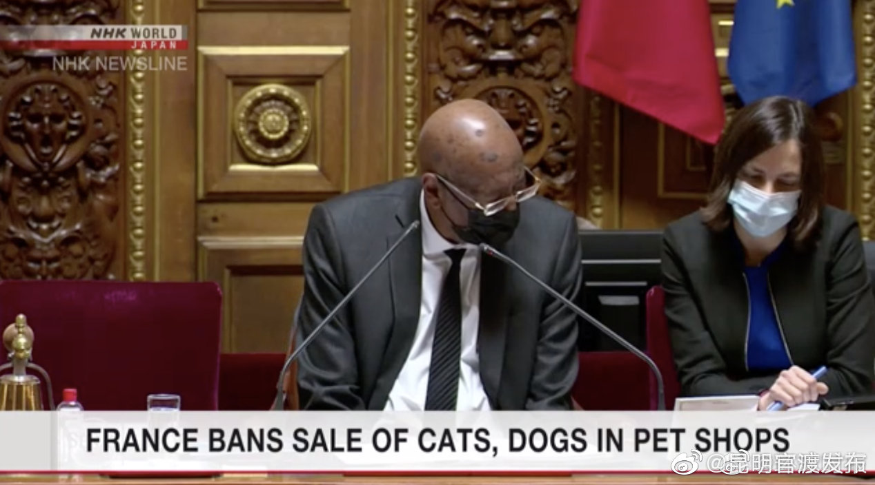 法国参议院通过立法，2024年起禁宠物店贩售猫狗以防弃养