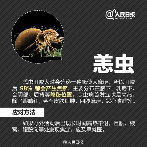 春城晚报