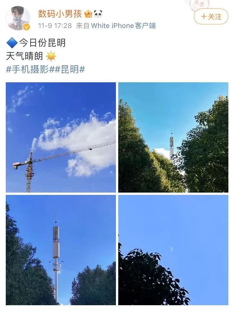 掌上春城