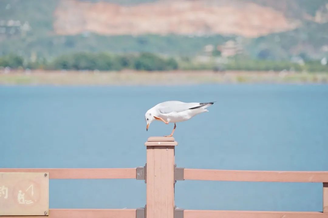 红河文旅