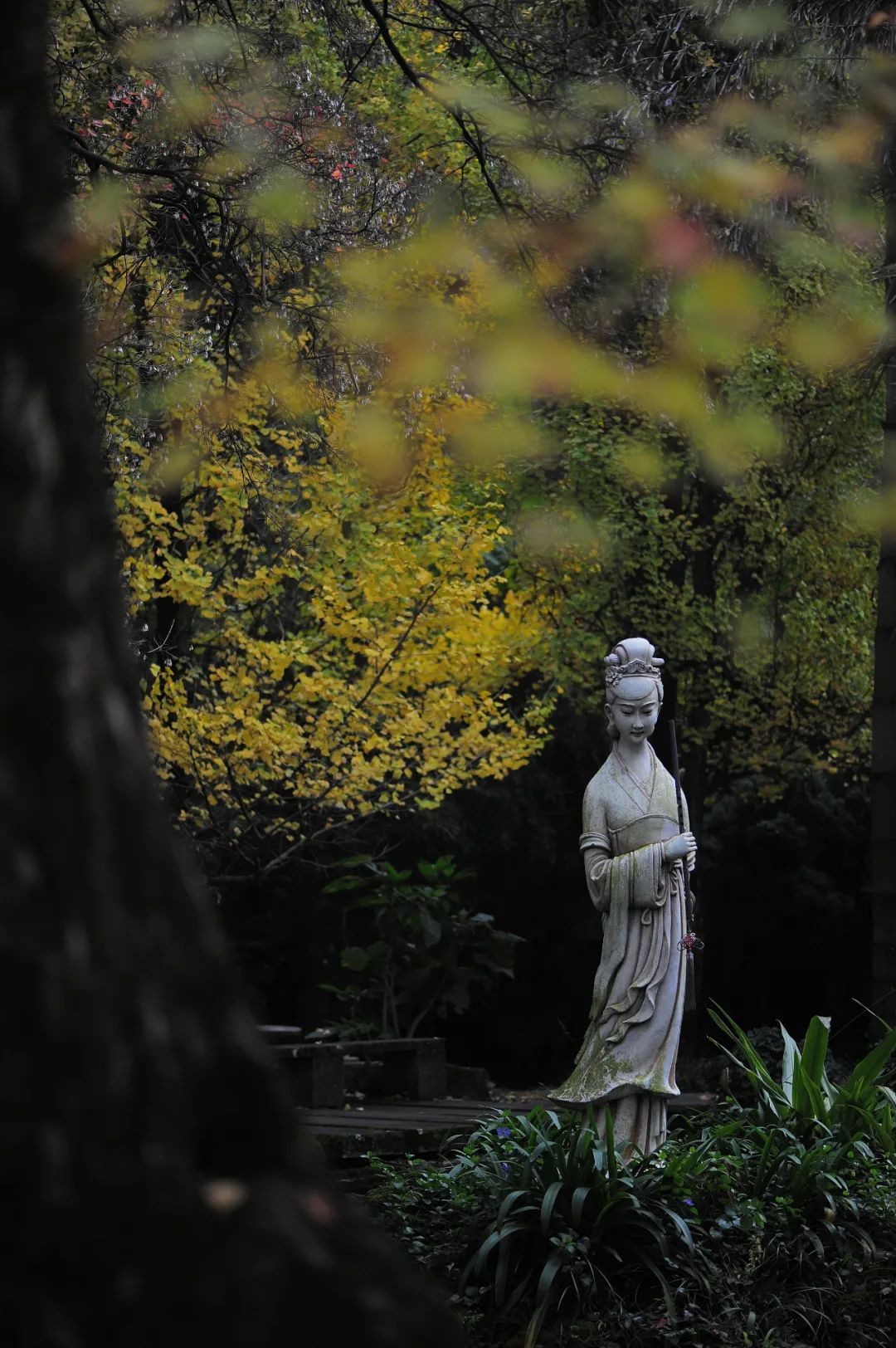 昆明市金殿名胜区