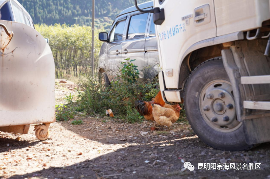 昆明阳宗海风景名胜区(微信)