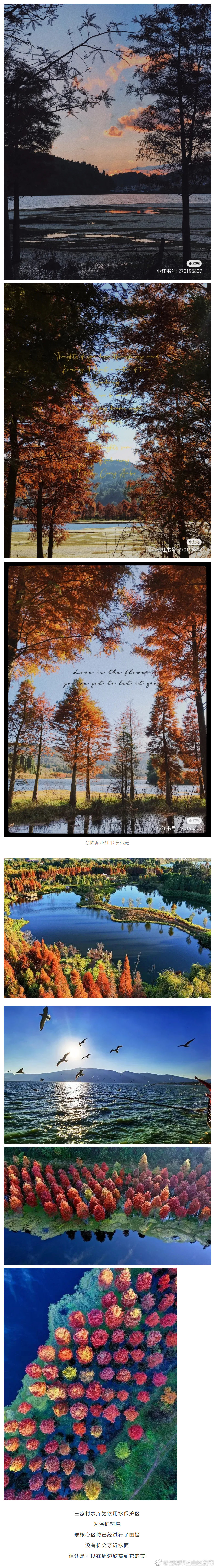 “昆明市西山区发布”微博