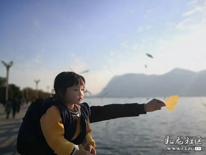 昆明信息港
