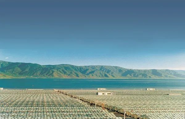 丽江日报(微信)