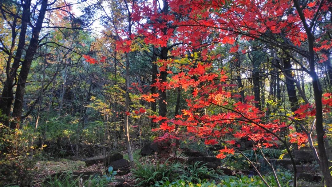 昆明市金殿名胜区
