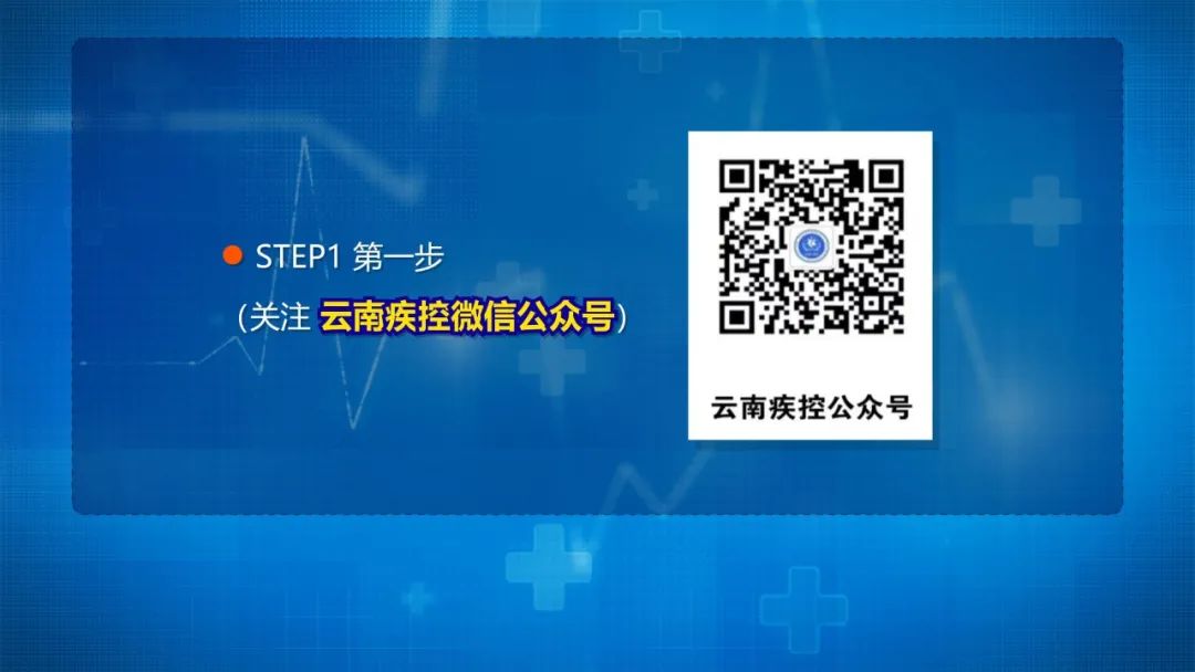 昆明信息港/cnkmxxg