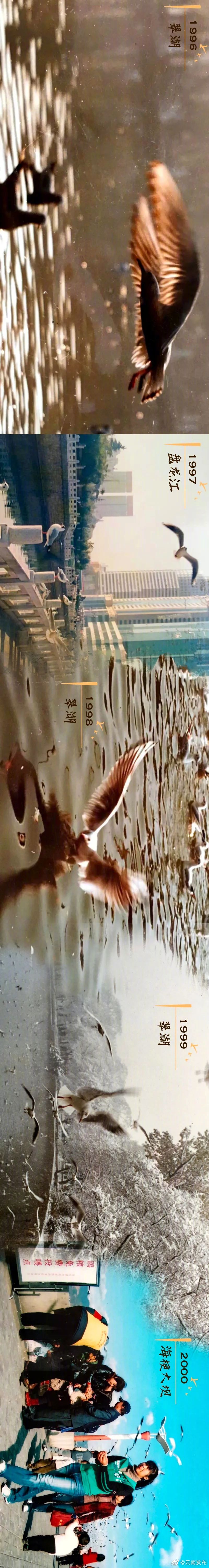 “云南发布”微博